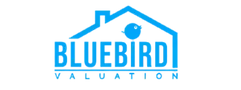 BlueBird-valuation